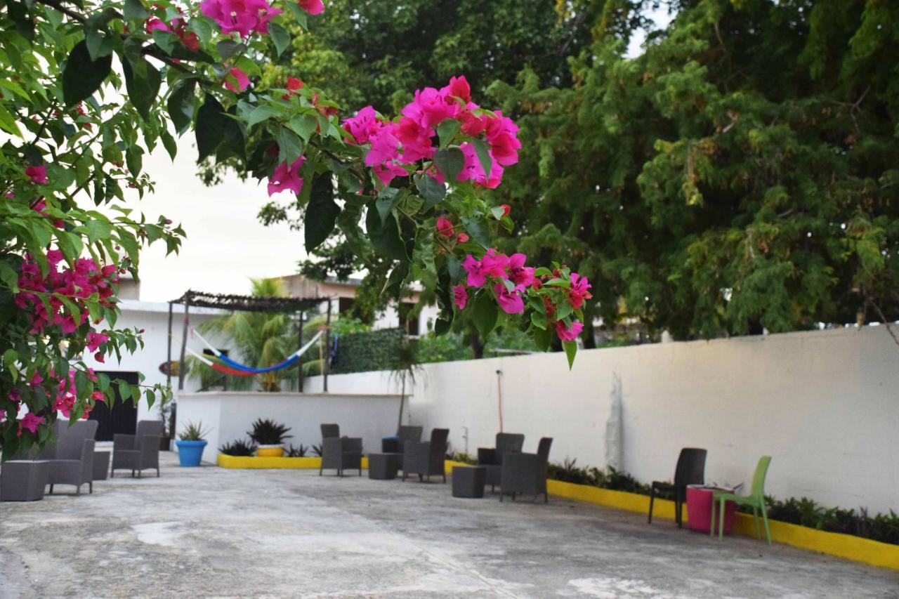 Hostal Casa Bohemia Mérida Zewnętrze zdjęcie