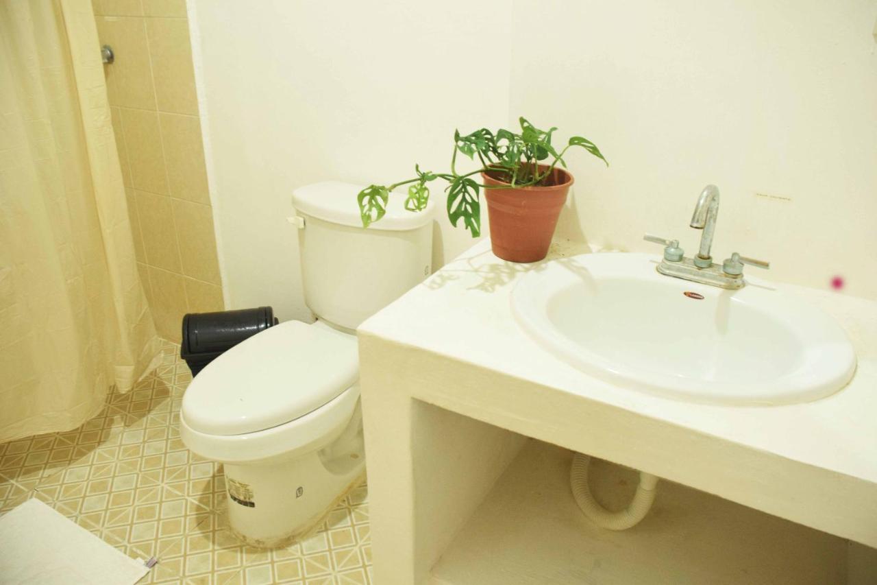 Hostal Casa Bohemia Mérida Zewnętrze zdjęcie