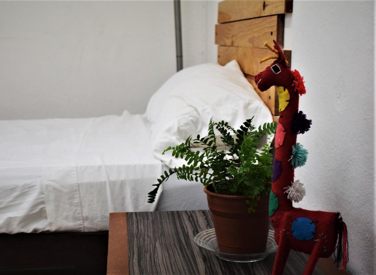 Hostal Casa Bohemia Mérida Zewnętrze zdjęcie